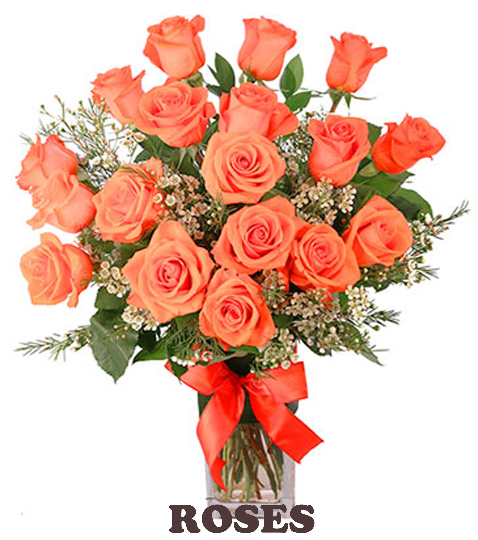 Florist Charlotte NC Flower Delivery Charlotte North Carolina